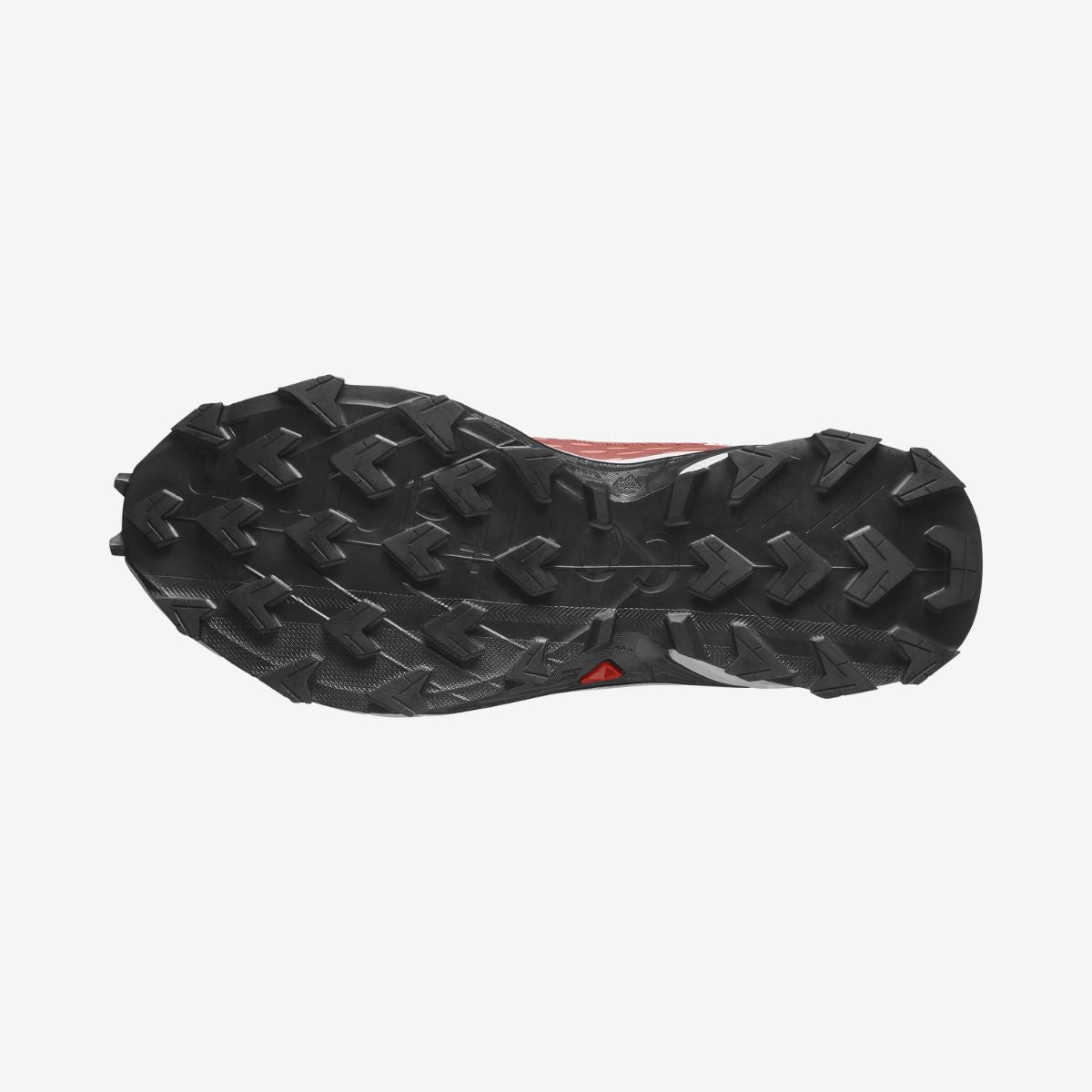 Salomon Alphacross 5 W